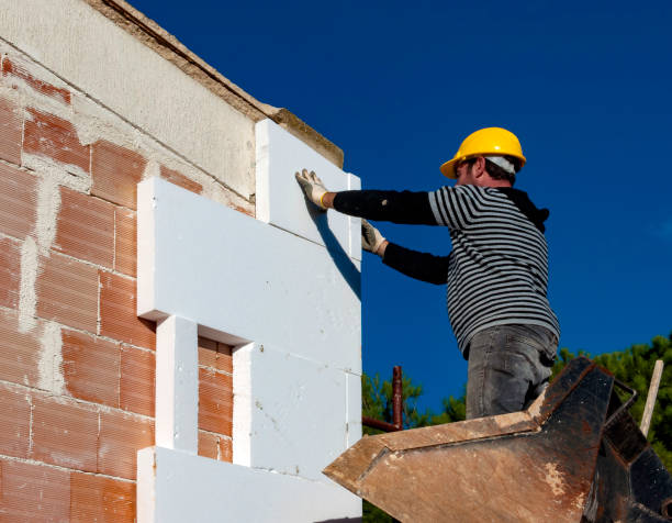 Best Insulation Installation Services in Lake Winnebago, MO