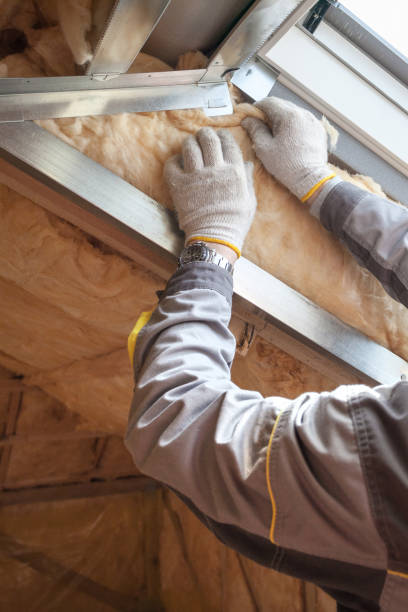 Best Specialty Insulation in Lake Winnebago, MO